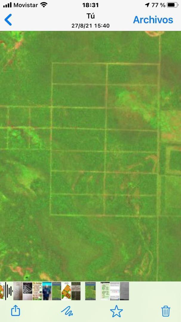 campo ganadero de 875 has. alambrado a 24 kms de Castelli