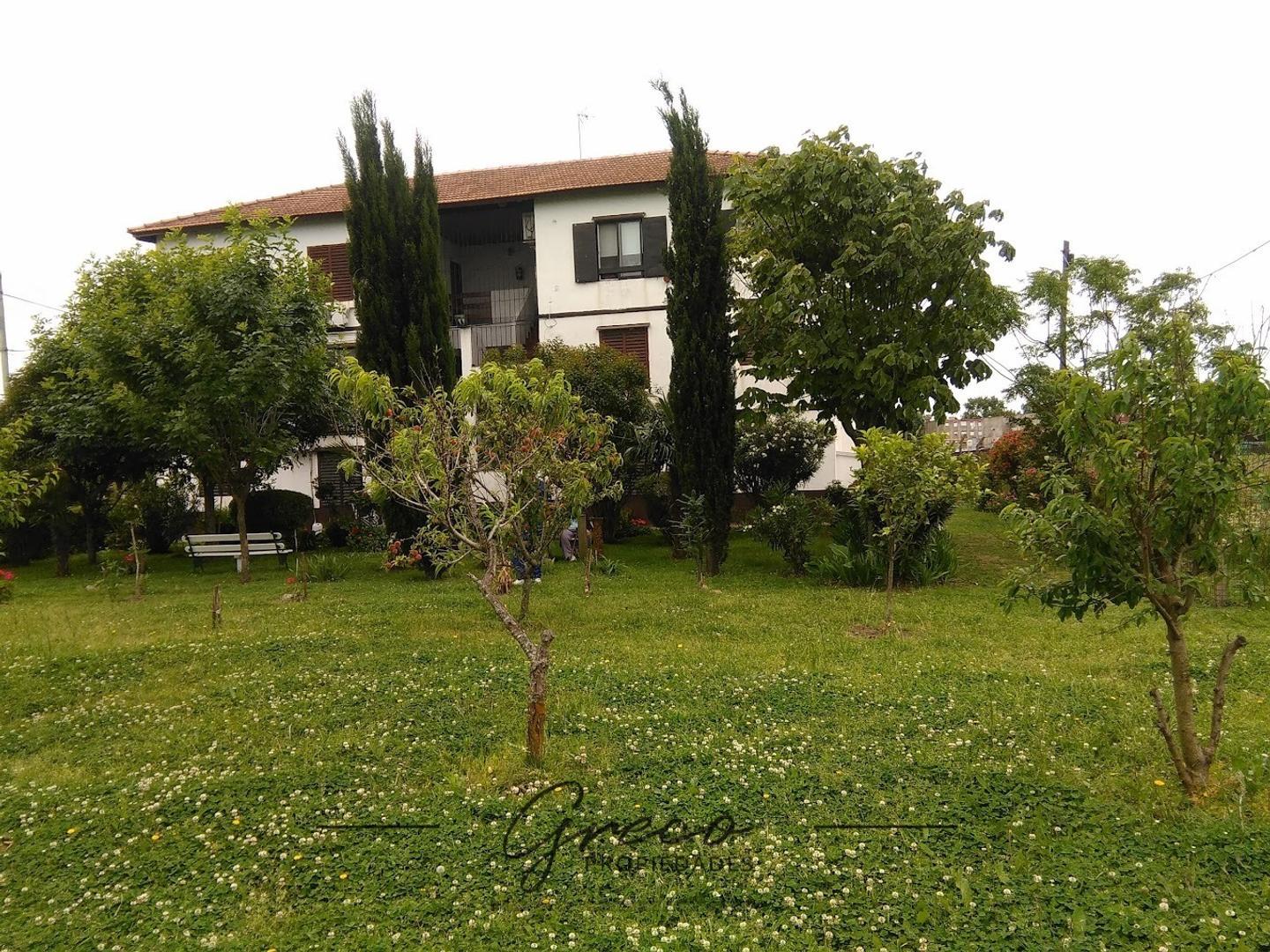 Araujo SUTHER 2 1900