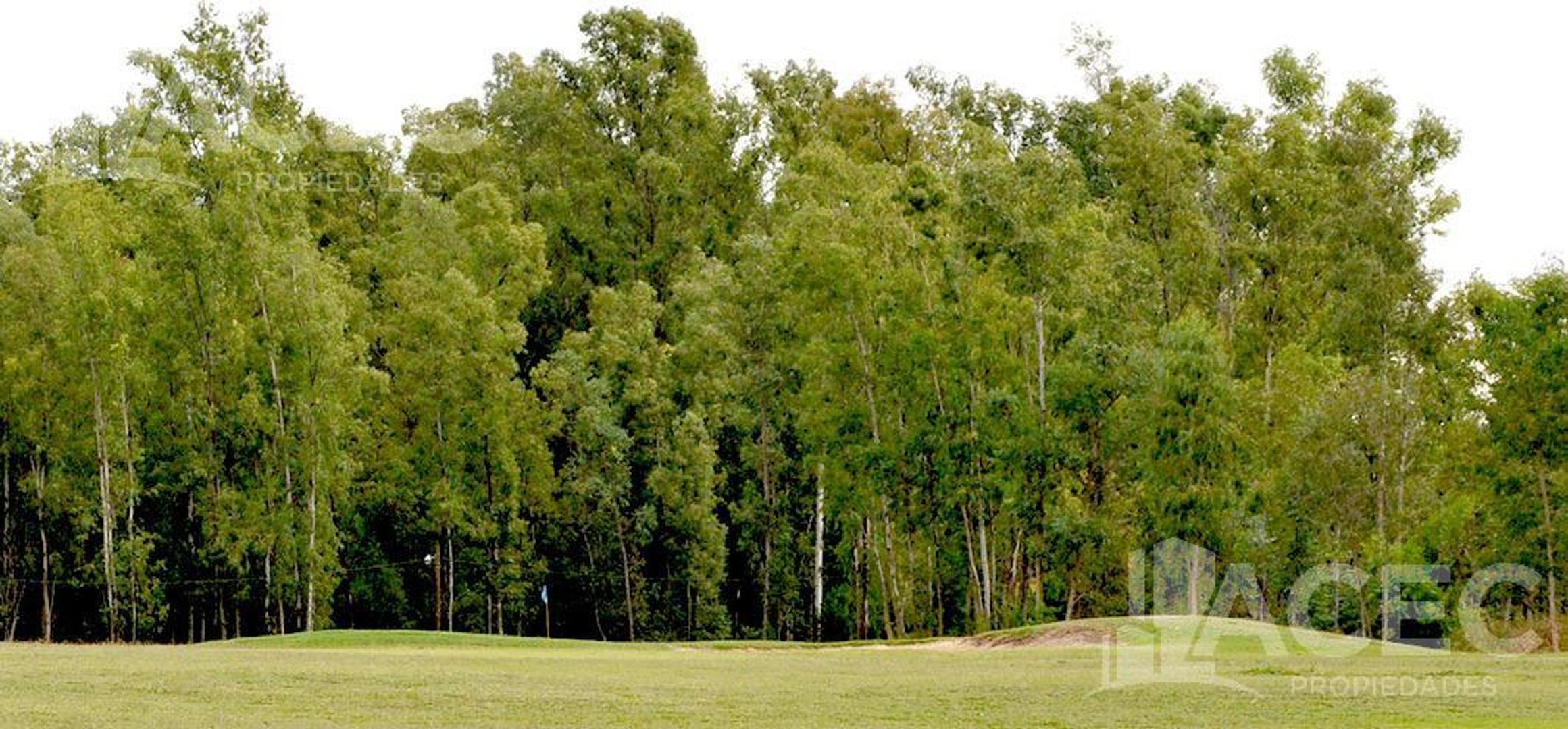 Terreno en Venta en Oliveros, USD 32.000