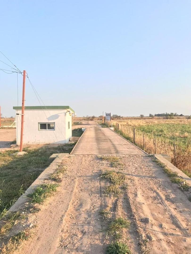 Fabrica expeler de aceite vegetal