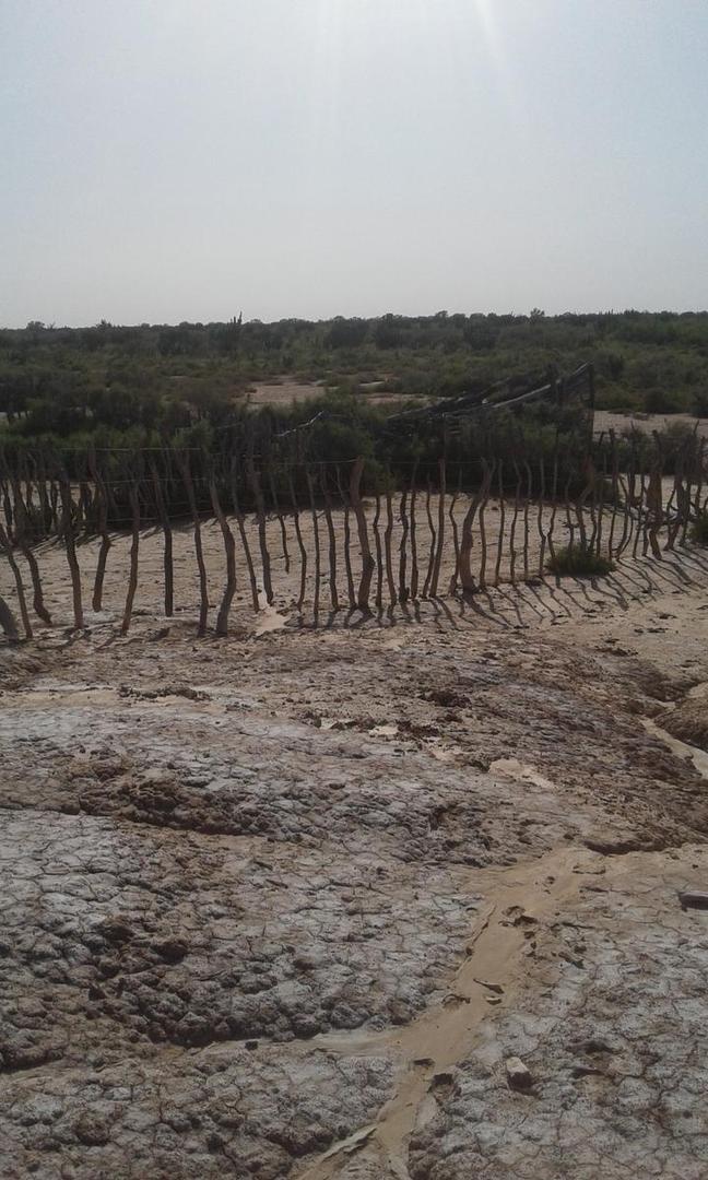 1000 ha - Herrera - Sgo. del Estero