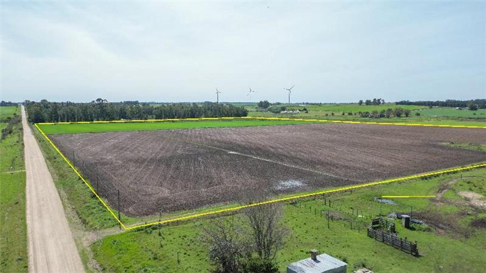 16 Ha Próximo a Kiyú, Excelente Índice de Coneat...