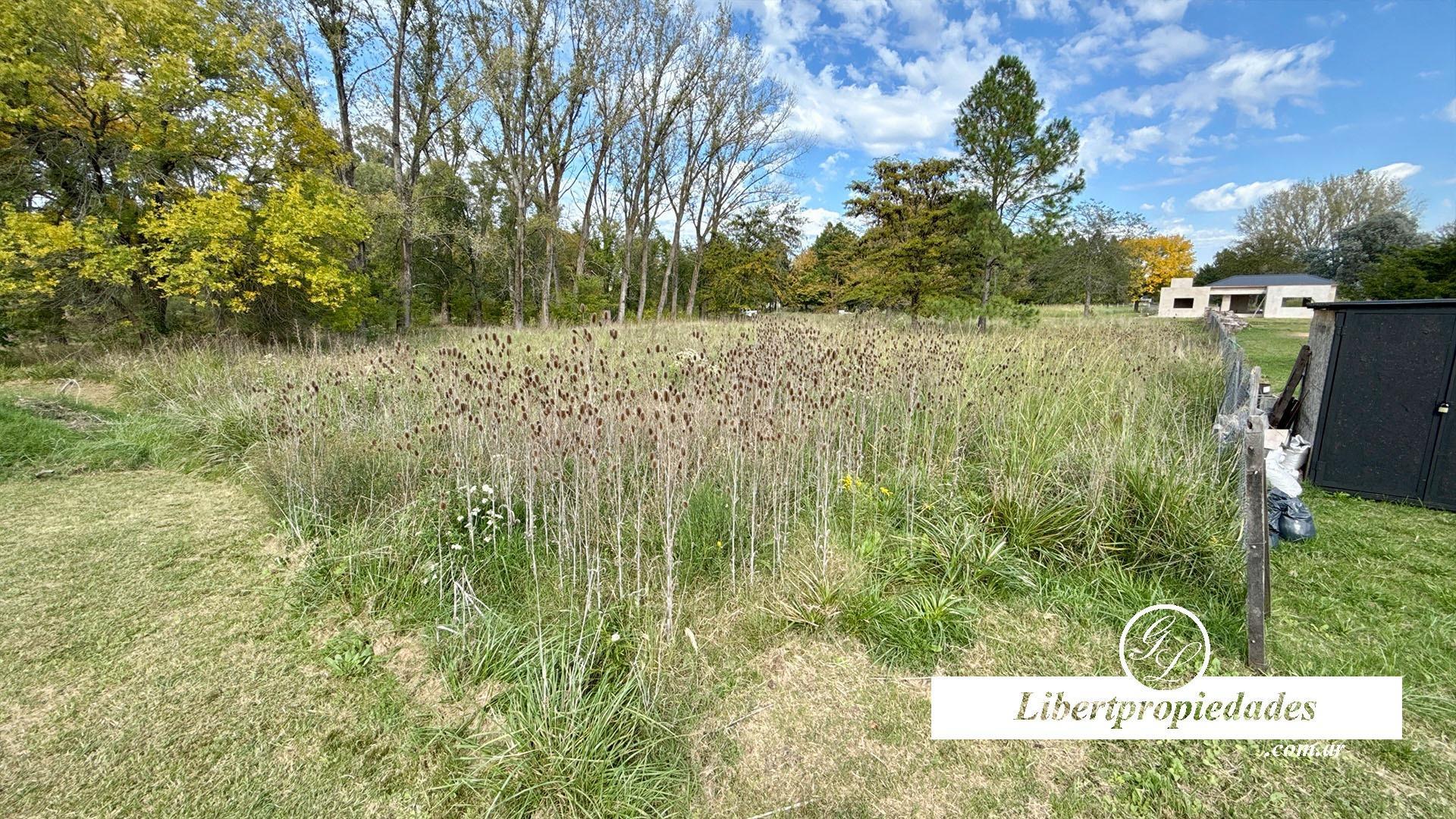 Lotes en venta en Amarylis C.C