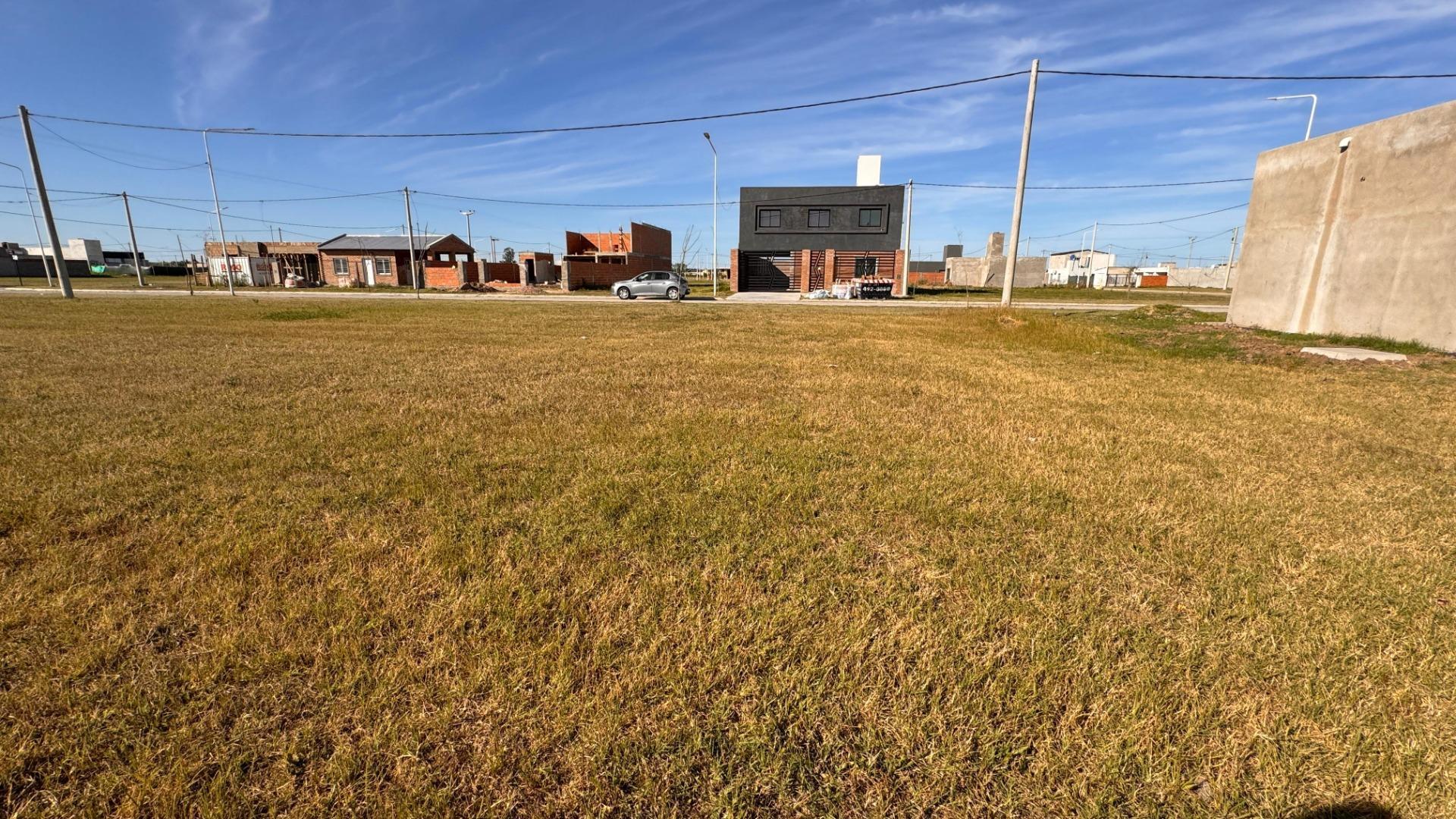 Clementina Temperini 1550