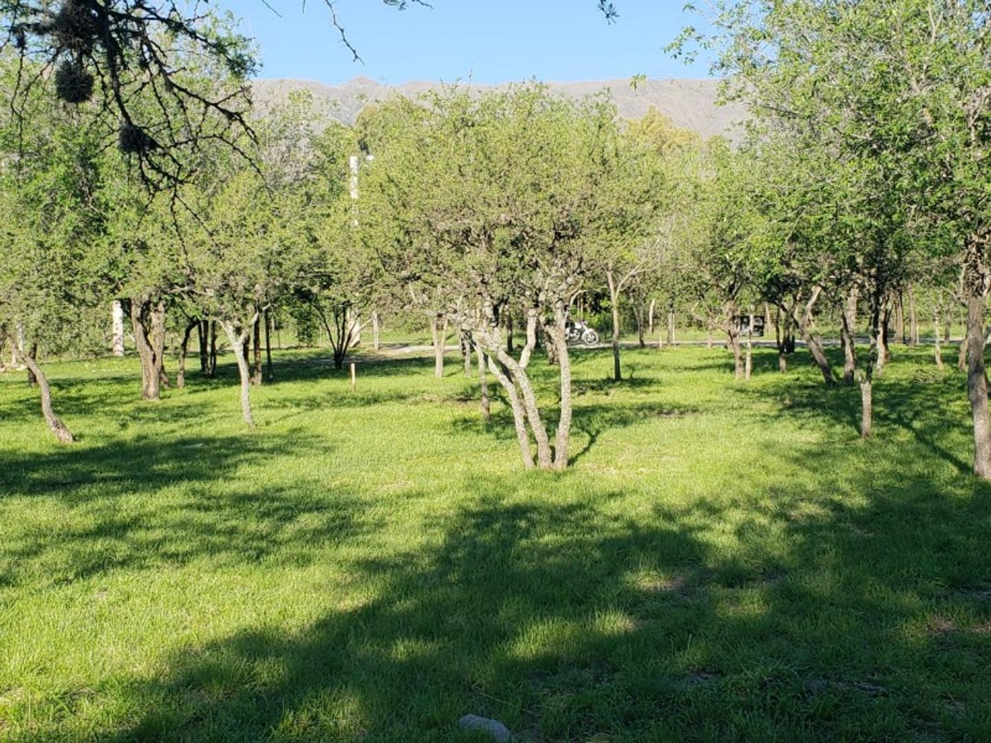 Venta Lote Centrico Merlo San Luis PRECIO LIMITADO