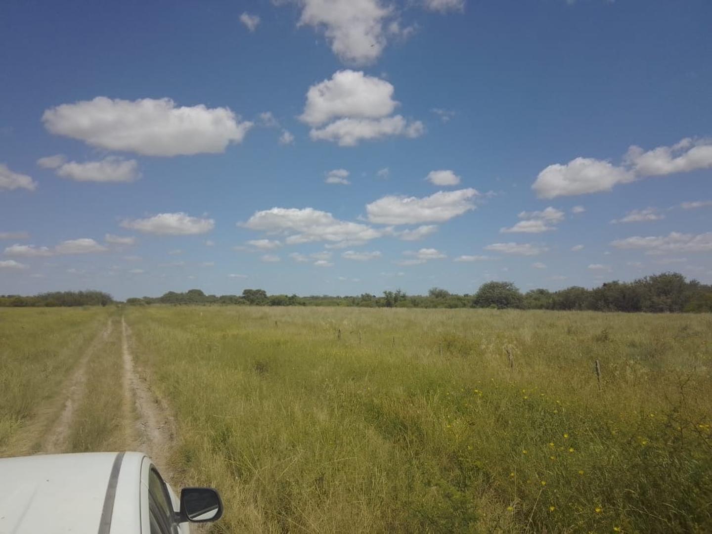 Ruta 2