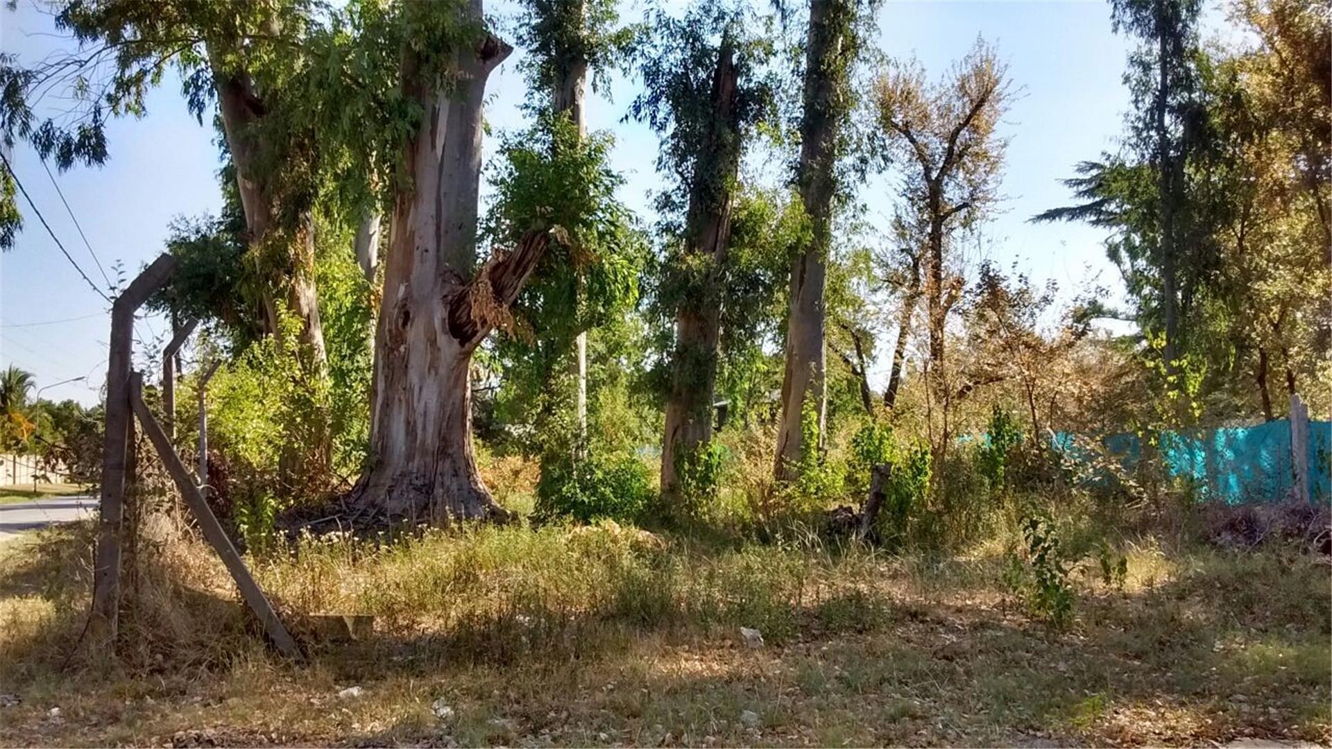 Terreno en Venta de 833,0 m2