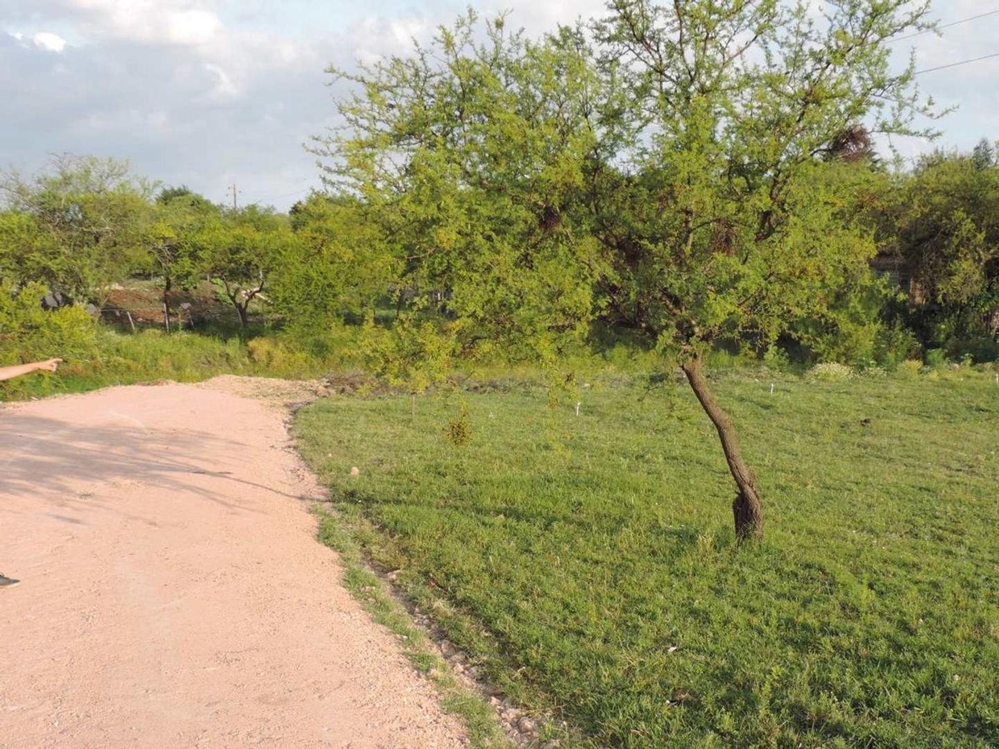 TERRENOS  EN BARRIO PRIVADO SOBRE AVENIDA