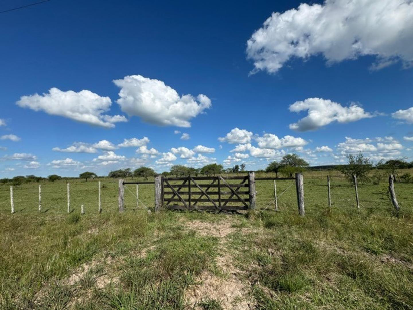 Campo 36.5 hectareas en  Curuzu Cuatia Corrientes