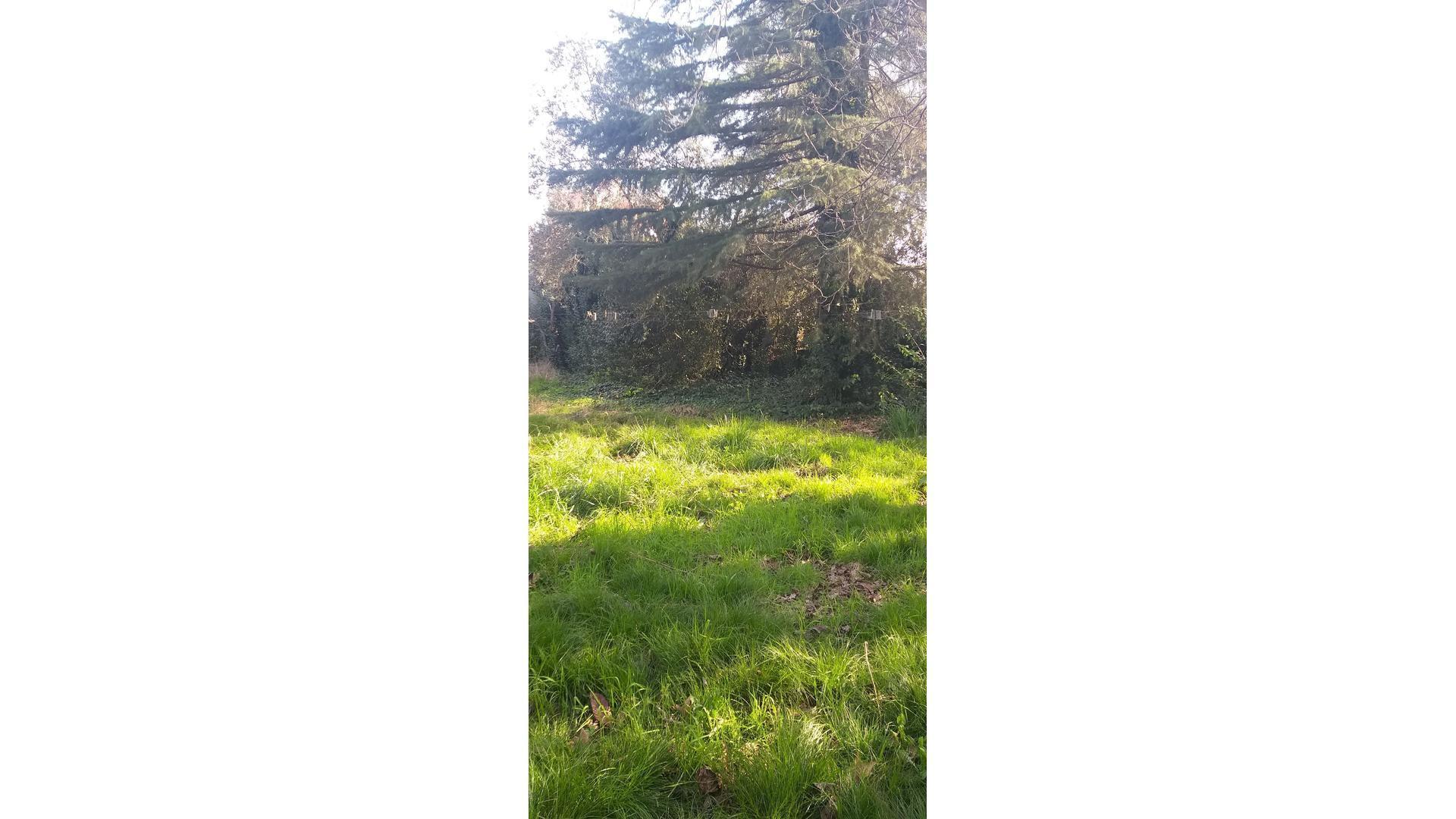 Terreno en Venta de 800,0 m2