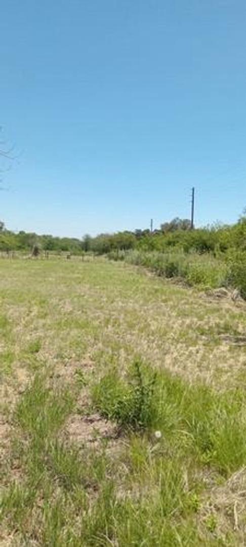 IMPONENTE CAMPO DE SEIS HECTAREAS