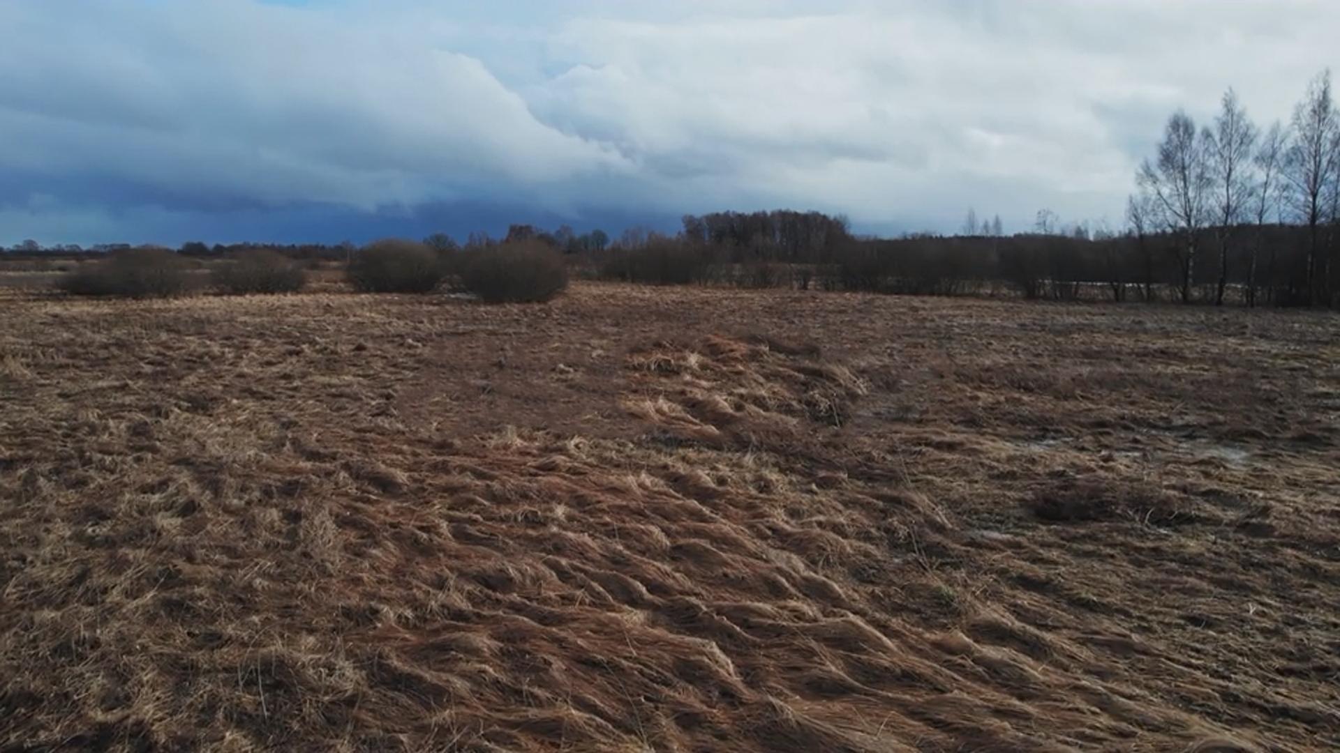 Venta Hectareas apto desarrollo En Canning-San Vicente