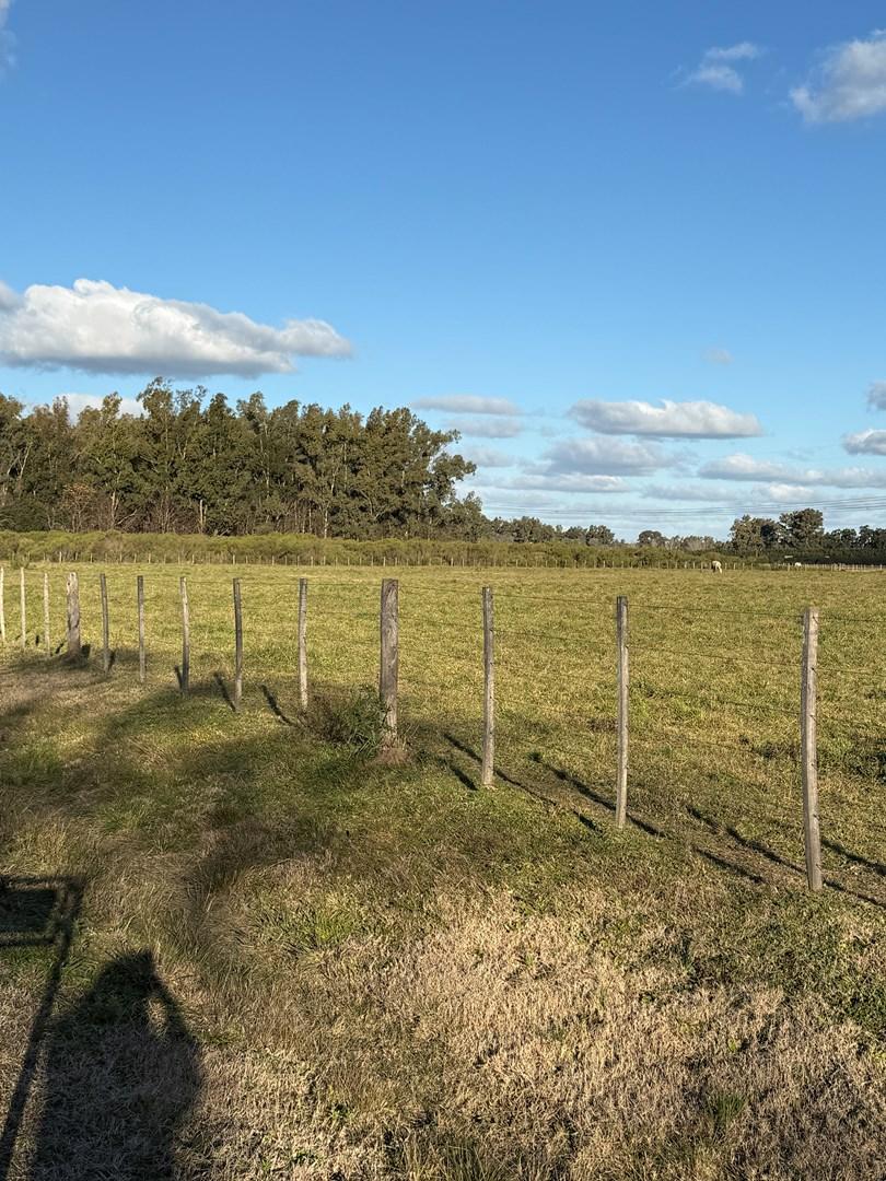 Terreno en Venta de 28018,0 m2