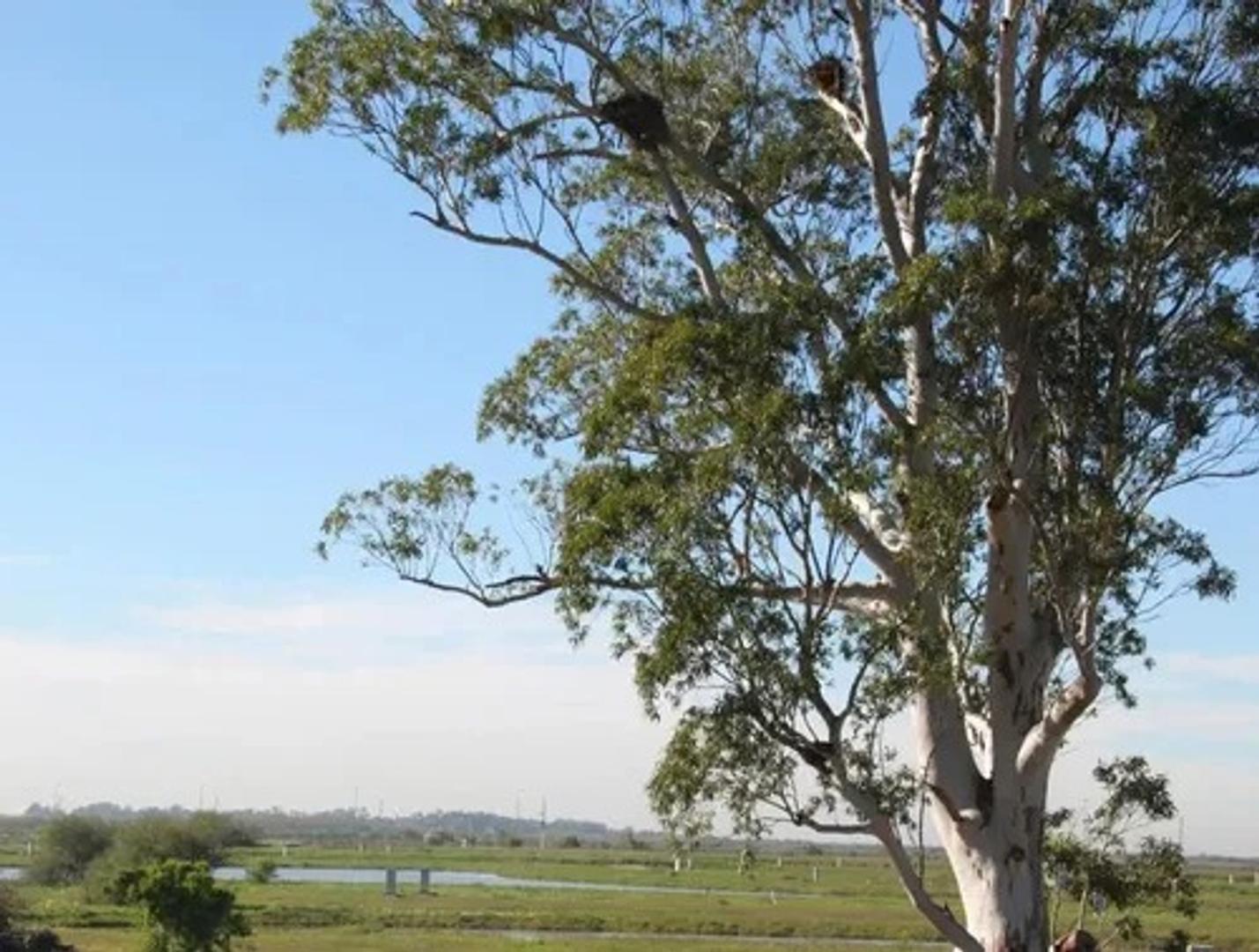 Terreno en Venta en Pueblos Del Plata - Sebastian Gaboto, USD 170.000