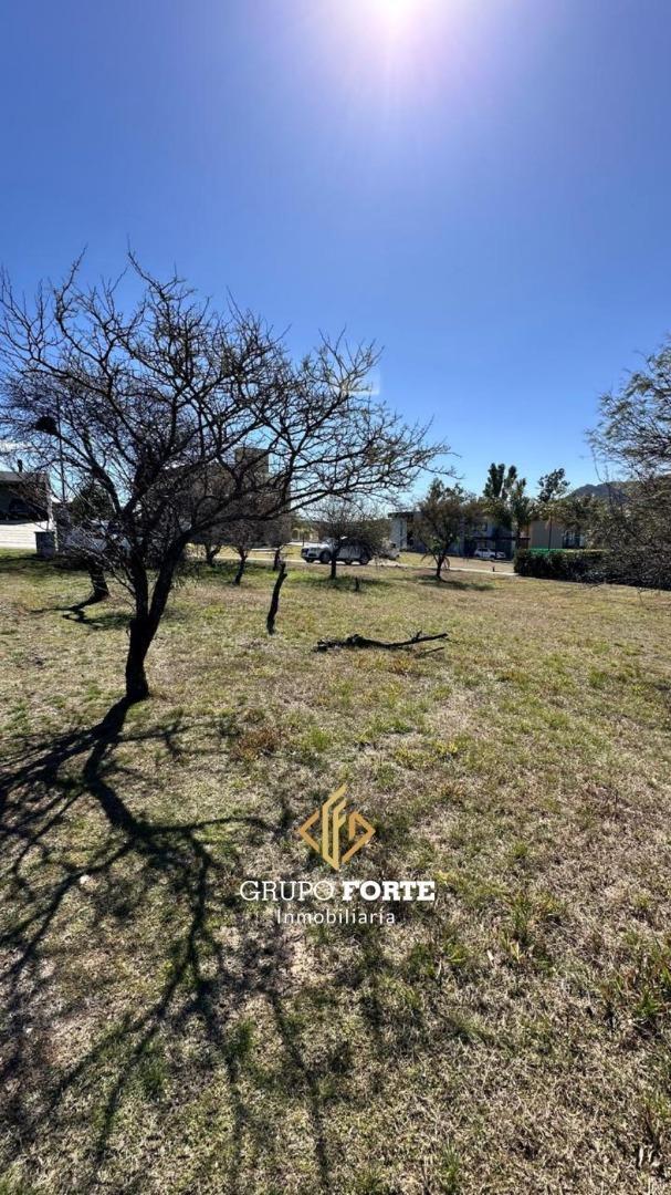 Lote venta La Arbolada Hollywood con escritura
