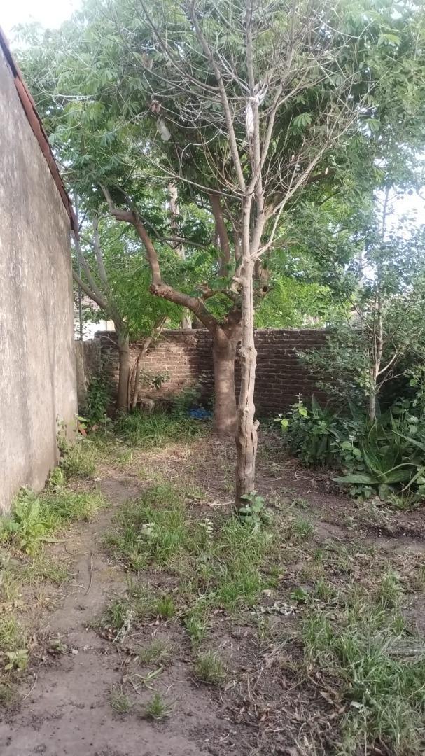 Remedios De Escalada De San Martin 1985