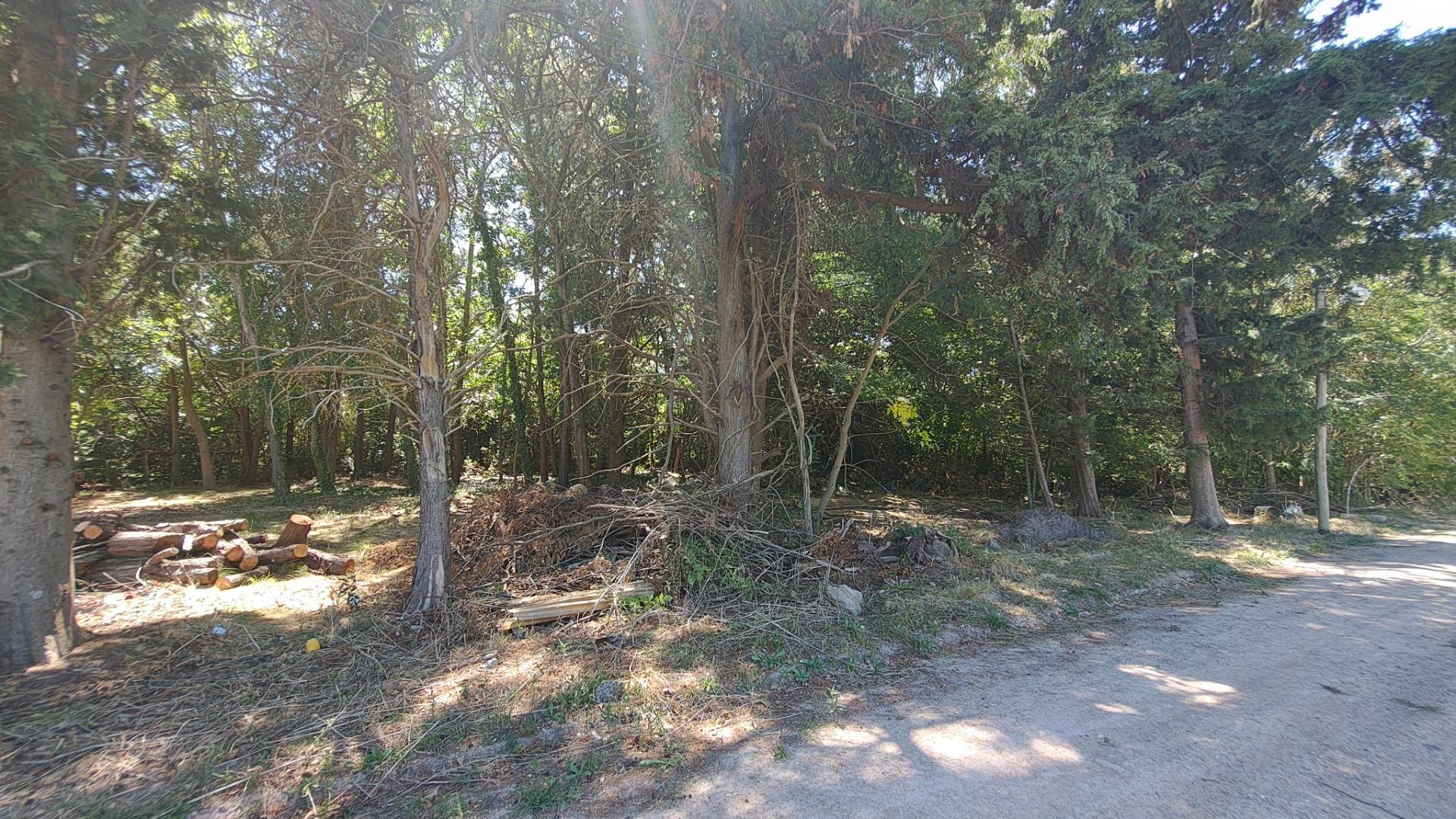 Terreno en Venta de 1200,0 m2