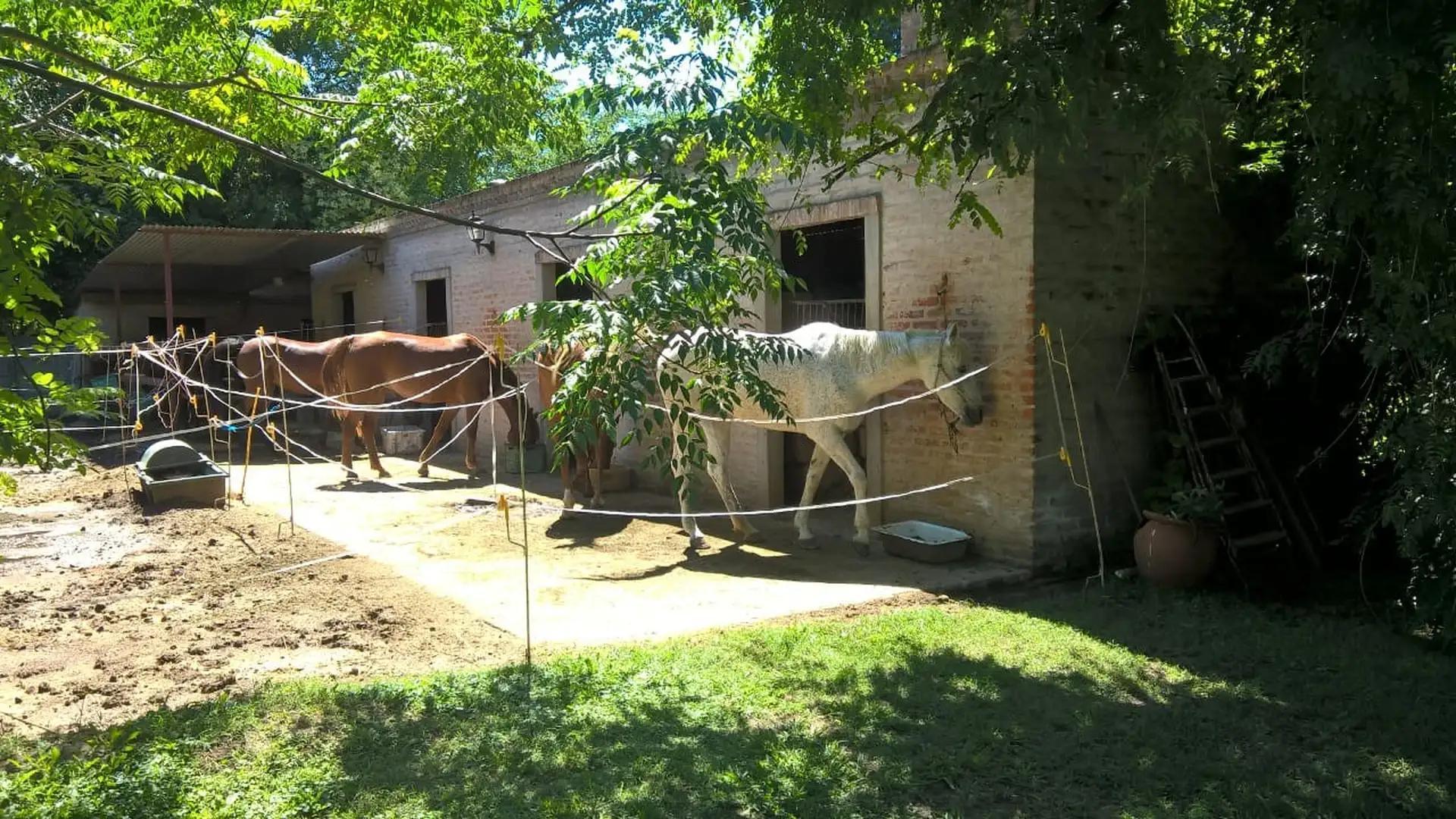 2 cuadras de ruta 25 y 12 cuadras de panamericana.-