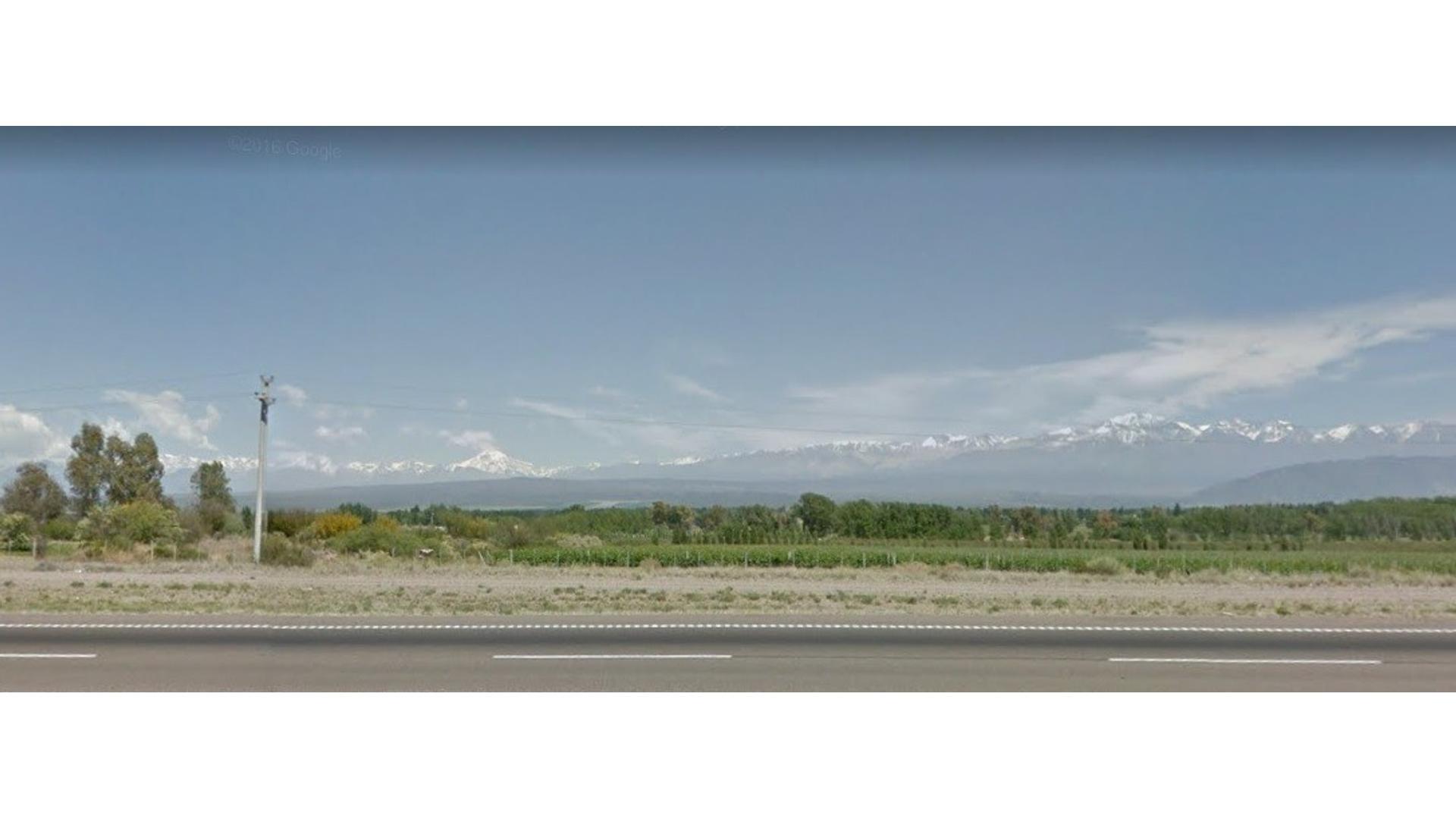 6 HA. SOBRE RUTA 40. AGRELO. FRENTE CHANDON. A 3,7 KMS EMPAL