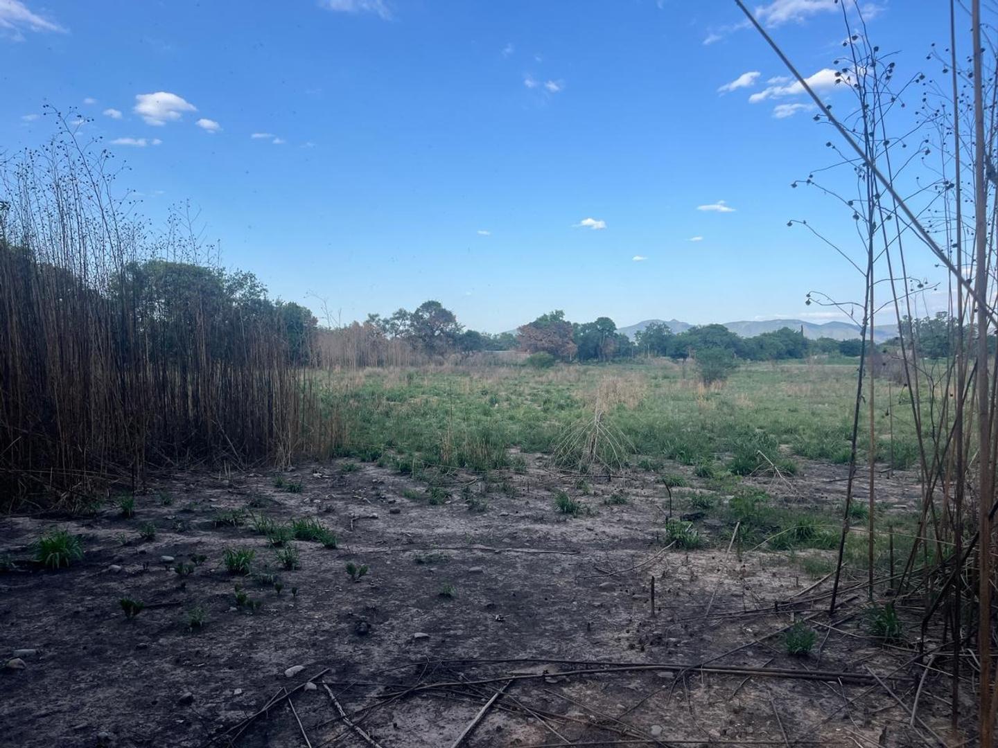 Terreno en Venta en Zona Centro, USD 165.000