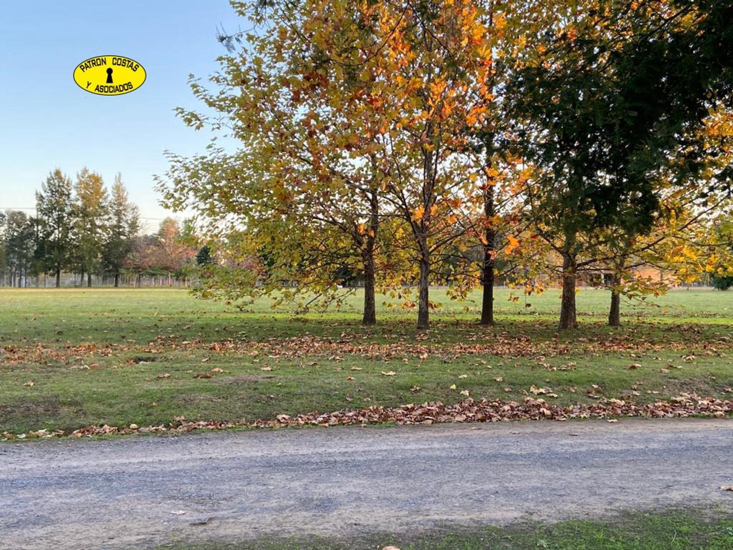 Terreno en Venta de 10000,0 m2