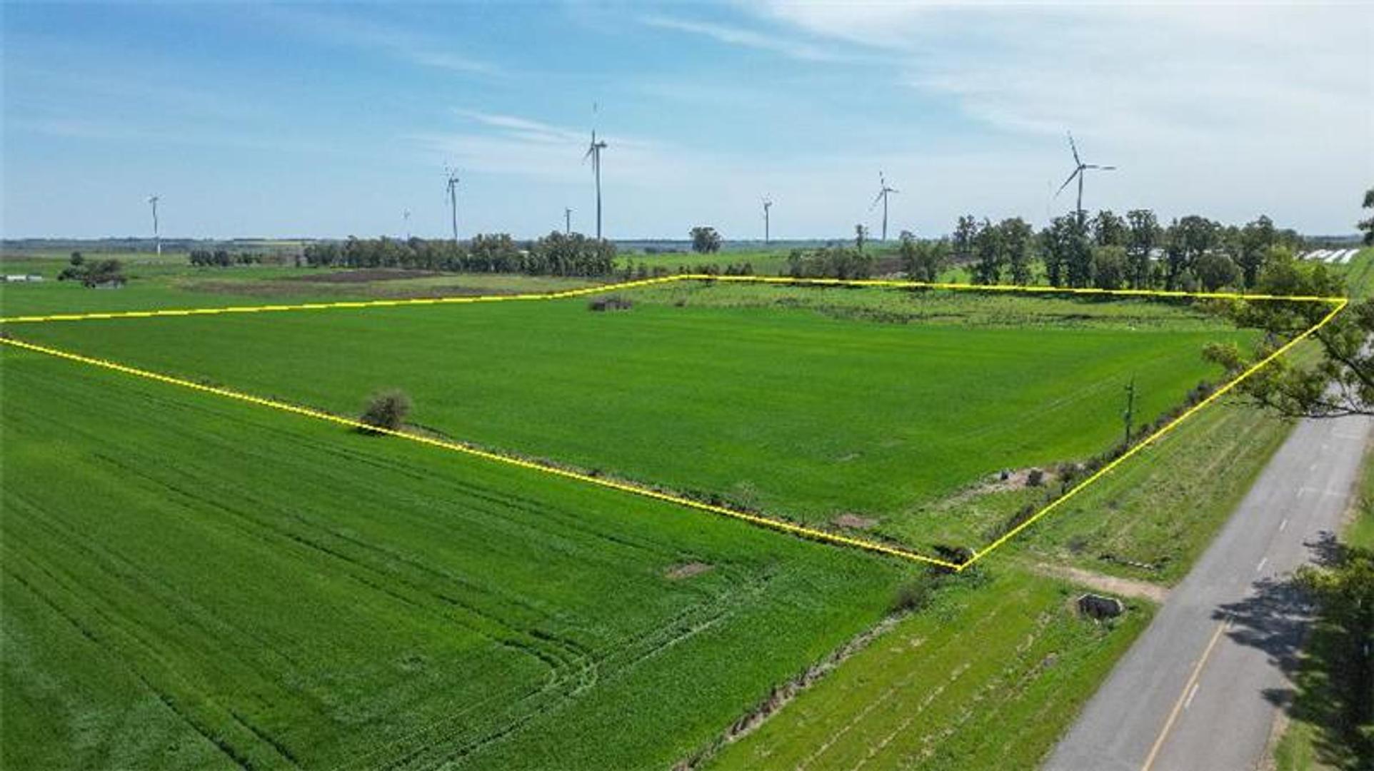 10,8 Ha Agrícolas Ganaderas, Excelente Ubicación....