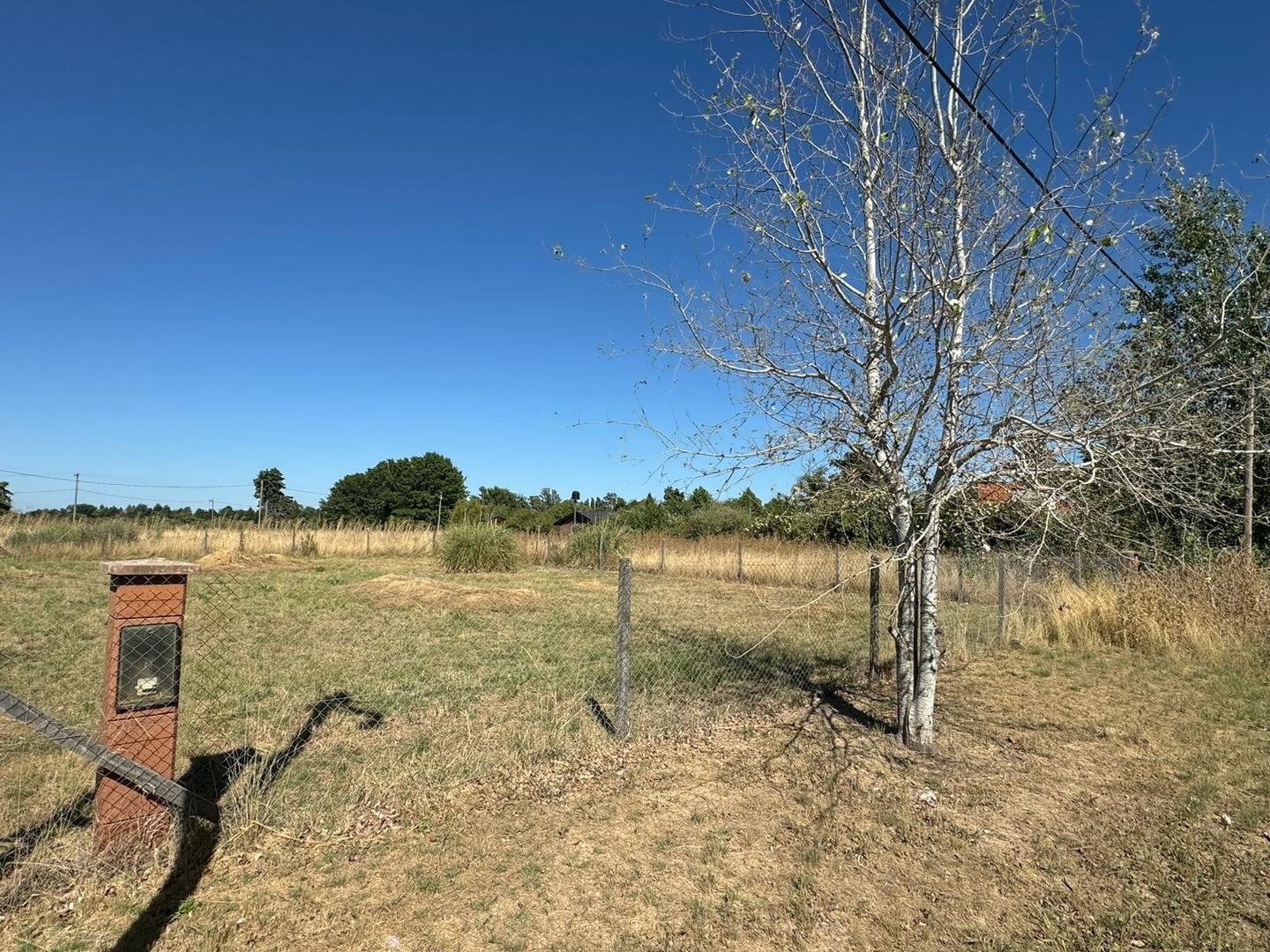 VENTA