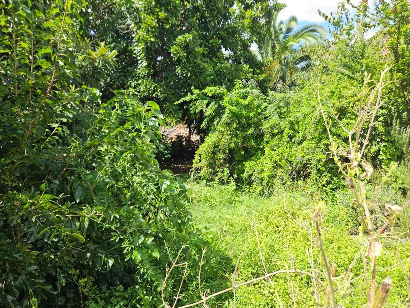 Terreno en Venta en Santos Lugares, USD 70.000