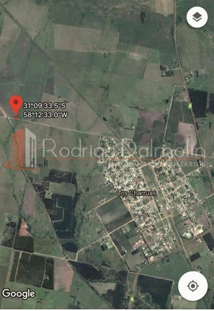 Ruta 4