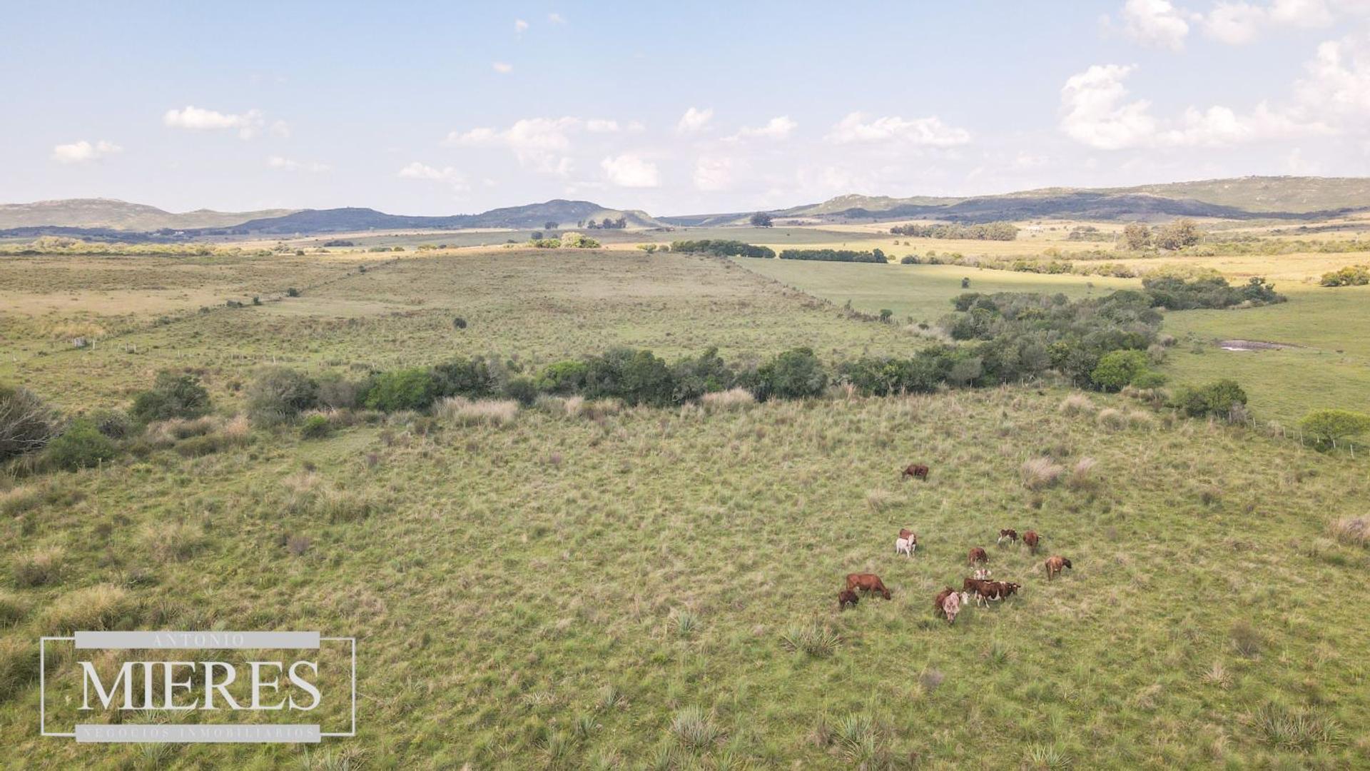 Venta de campo 29 ha con casa en Paso Dutra Maldonado