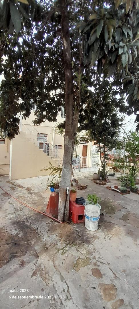 M. M. De Vacarezza 311