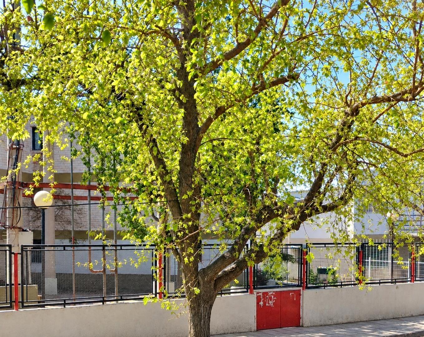 VENTA DE DEPARTAMENTO CALLE PASCUAL SEGURA, LAS HERAS