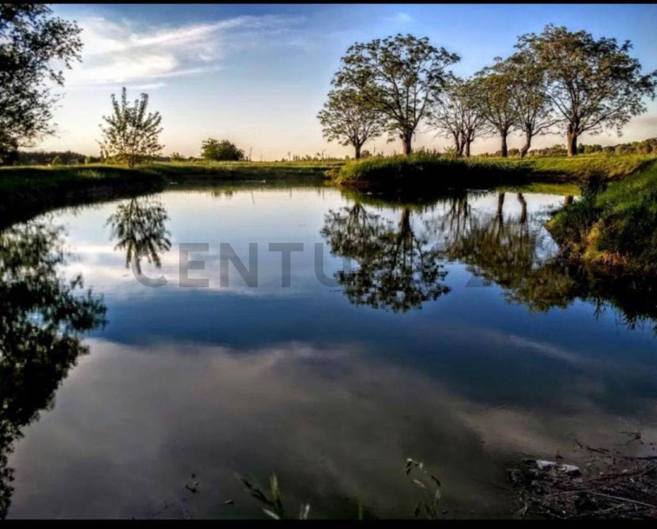 EL CAMPO- FINCAS EXCLUSIVAS CARDALES 400, Piso 0