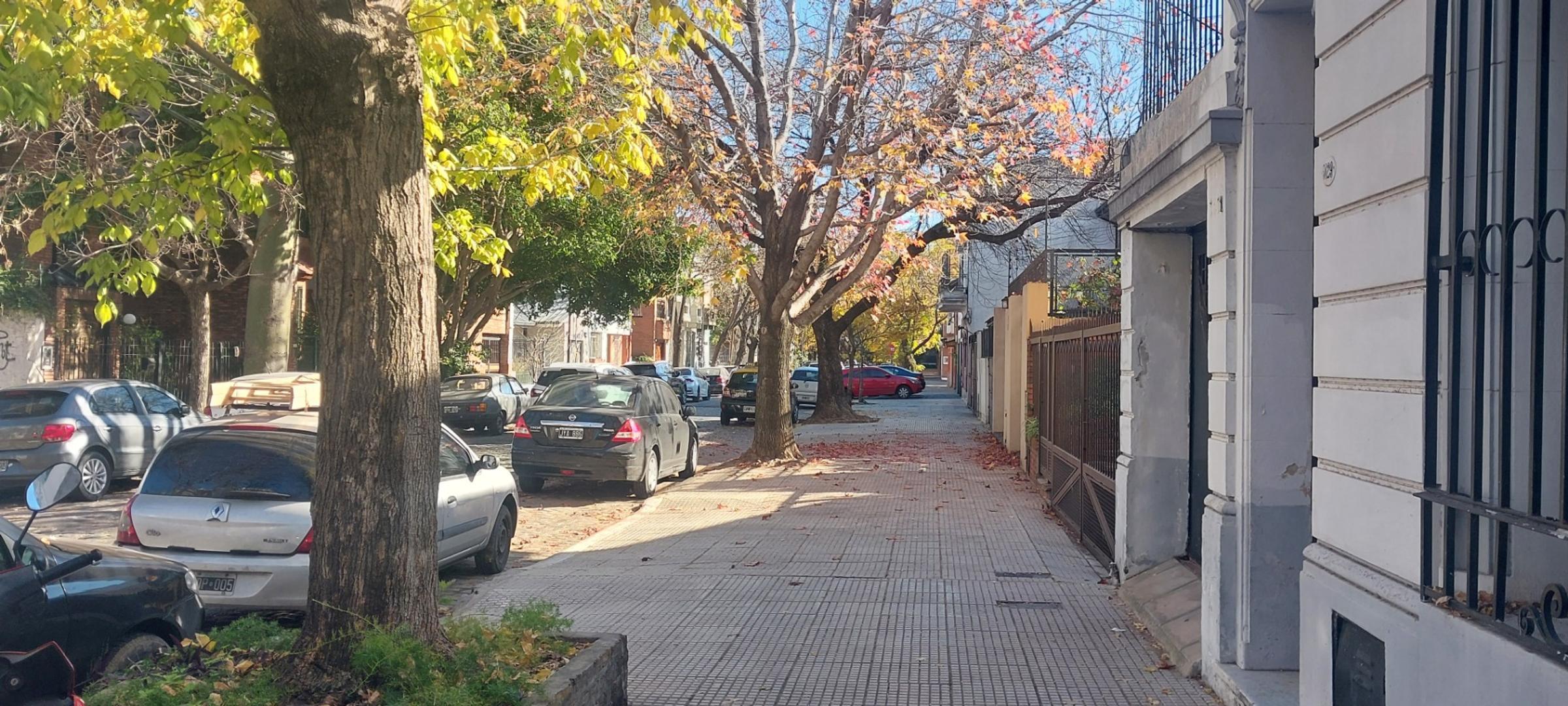 Vidal 3000, Piso 1