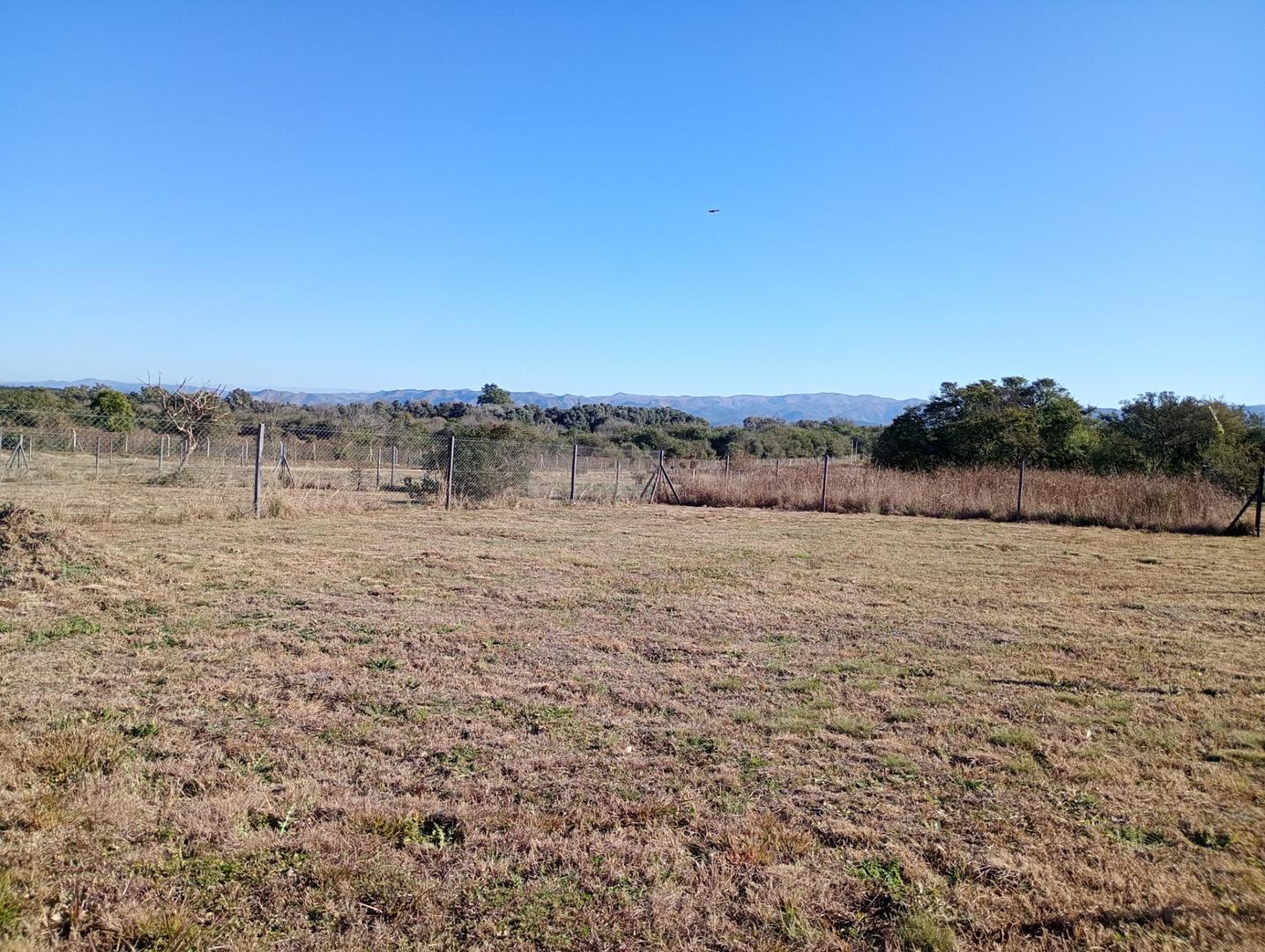 Aires Del Nordeste 100