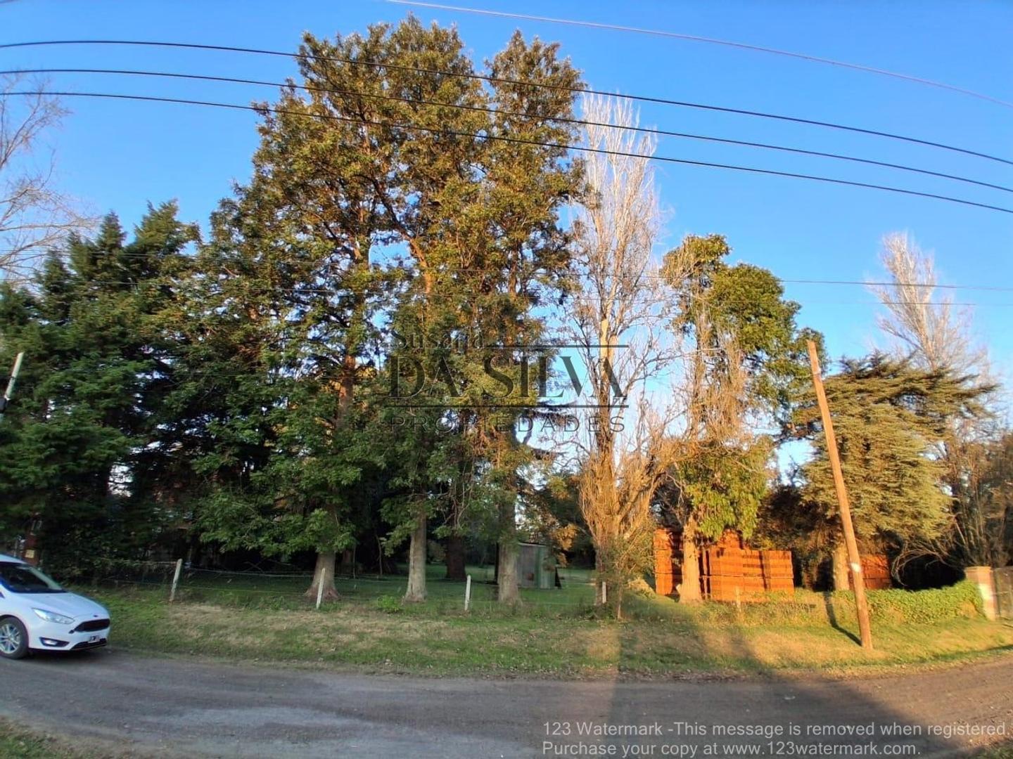 Anteproyecto El Moro