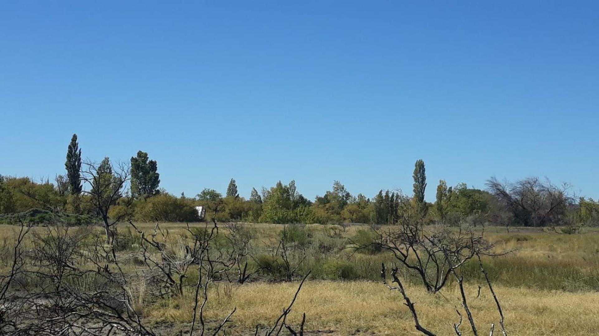 Vendo hectáreas con costa al Rio en Arroyito