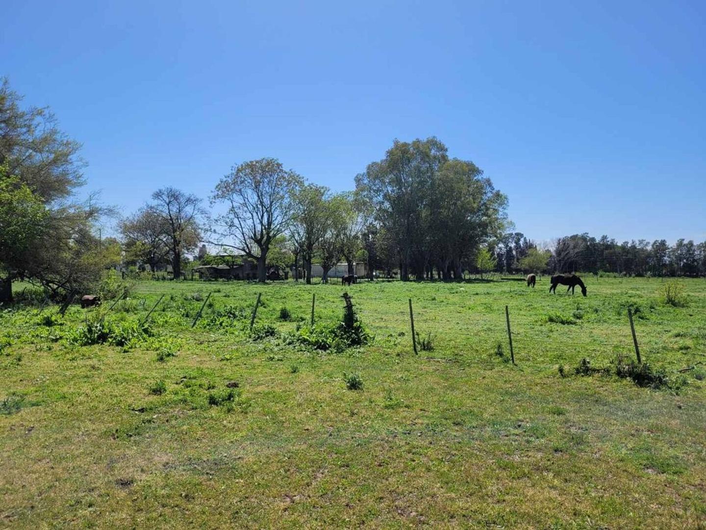 Campo 35,83 Ha - Km 51 Au Ezeiza Cañuelas
