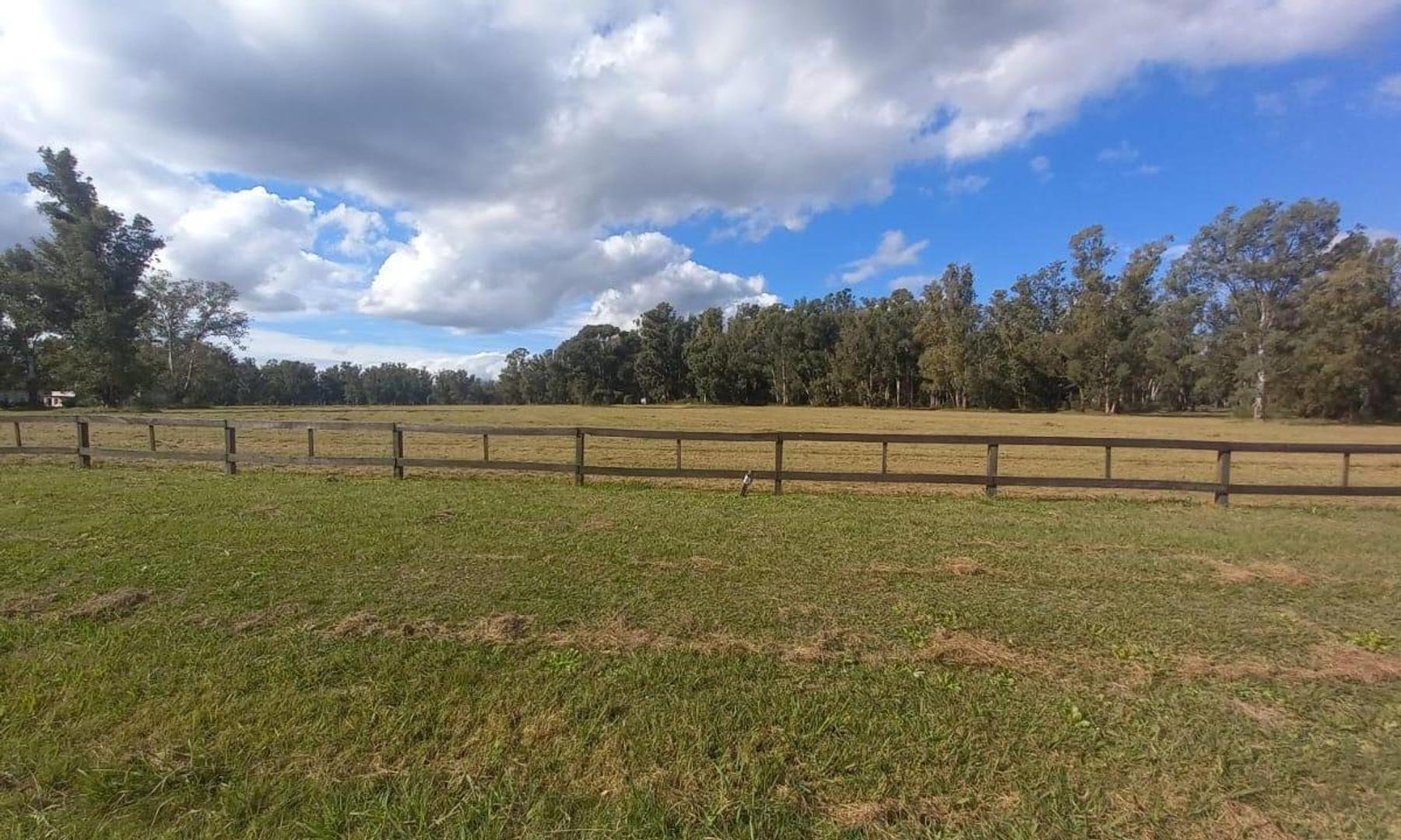 Terreno,venta ,baradero, Buenos Aires, Quebradas, Villa
