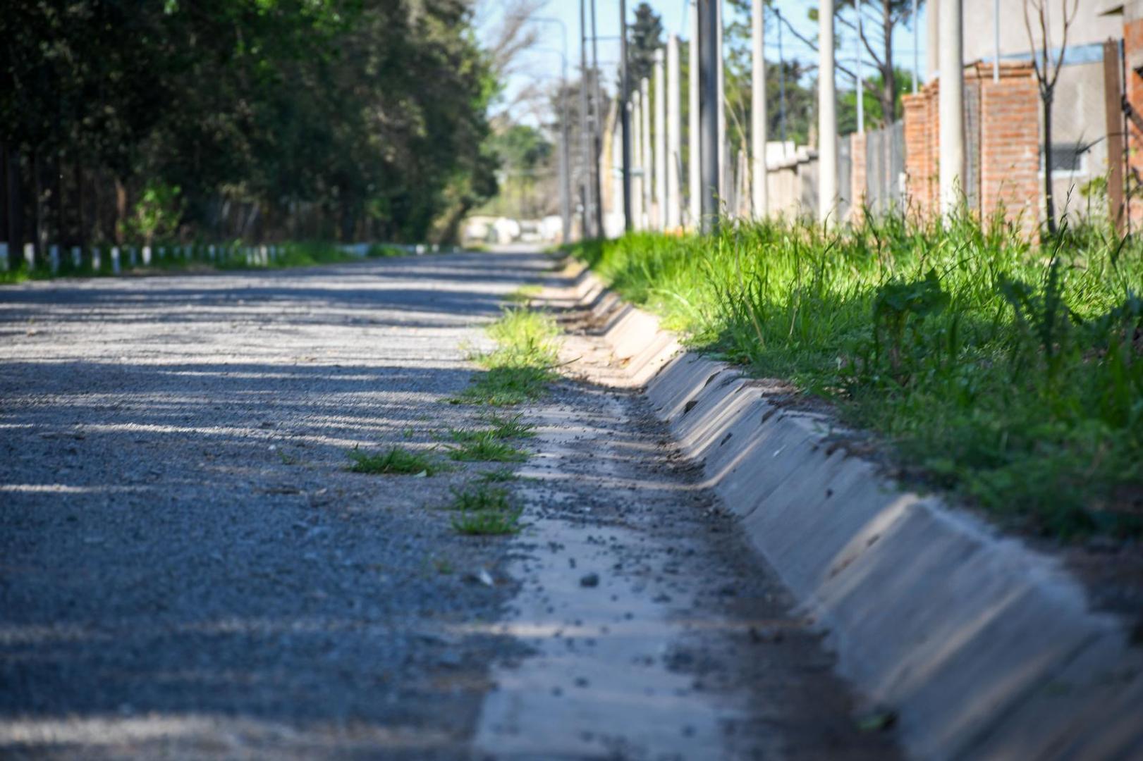 Vende Lote - Barrio Las Tipas - Alvear - Ruta 18