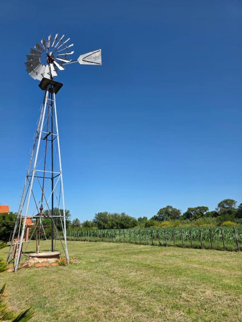 Venta campo agricola con casa y galpon 118 HAS CNO60 cuadras