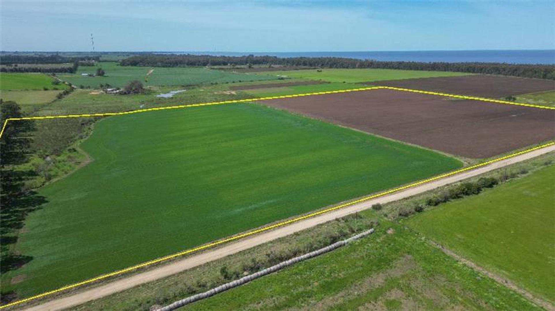 Campo en Venta de 16  ha