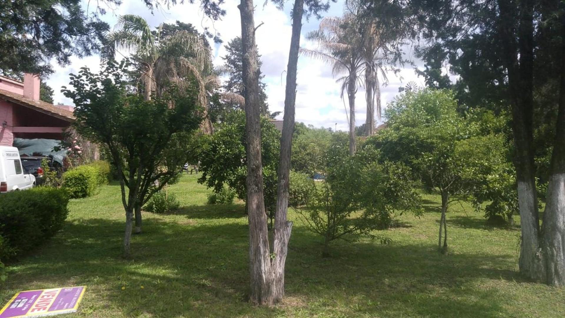 Teresa De Jesus 2300