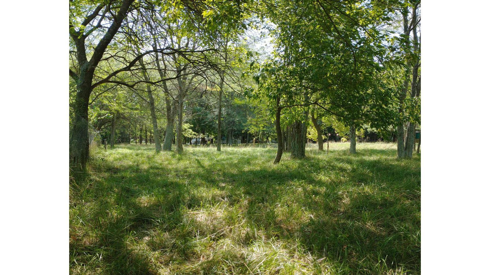 Casa en Venta 15 años