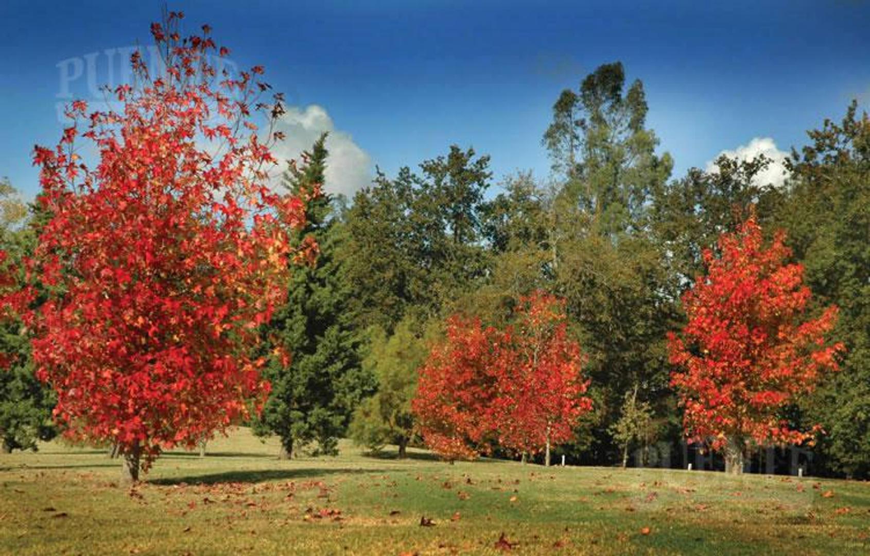 Terreno en Venta en Abril Club De Campo, USD 530.000