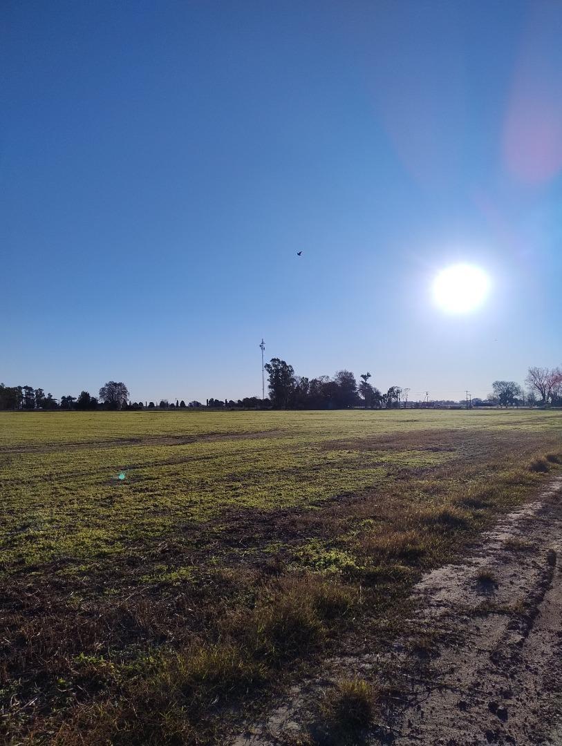 DUGGAN 21 HECTAREAS - LATERAL SOBRE RUTA 8