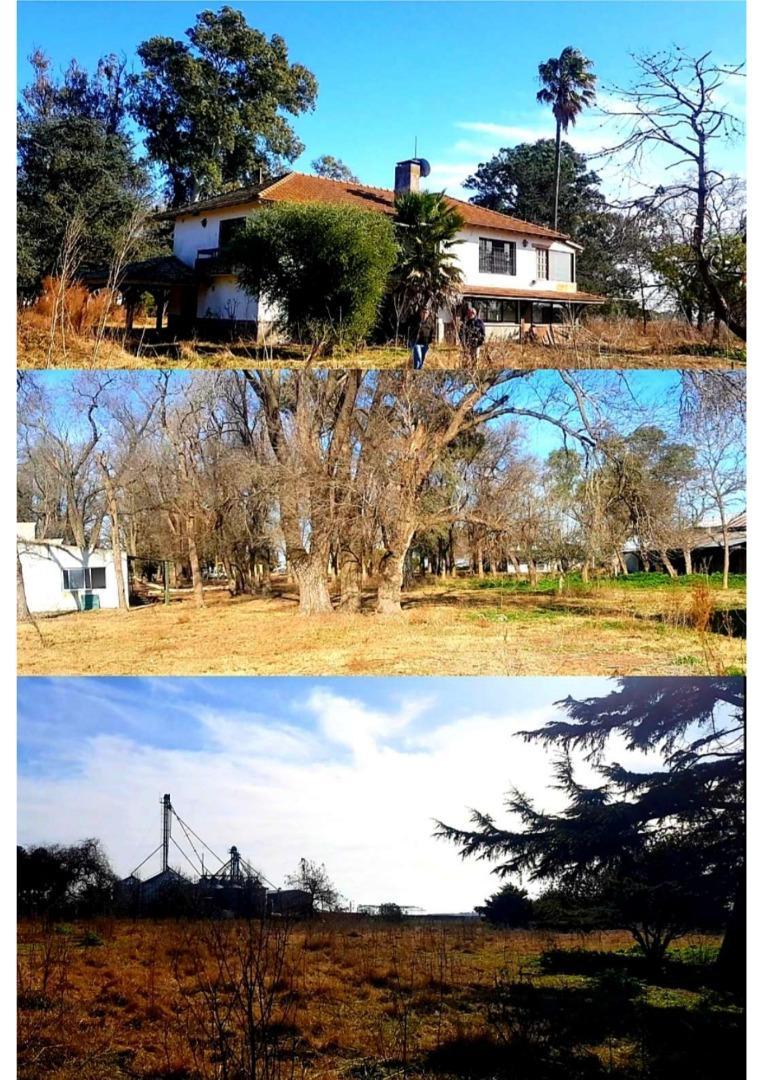 Campo con instalaciones de Feedlot en venta – Las Flores, B