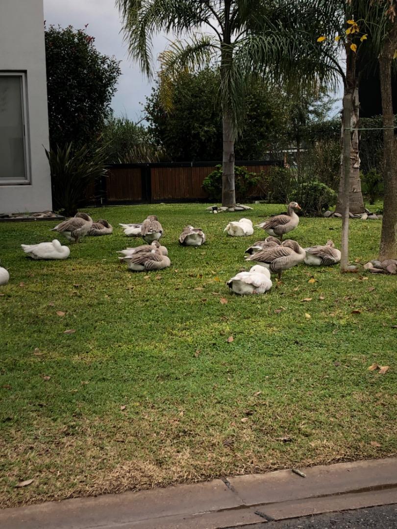 Terreno en Venta en Terravista, USD 140.000