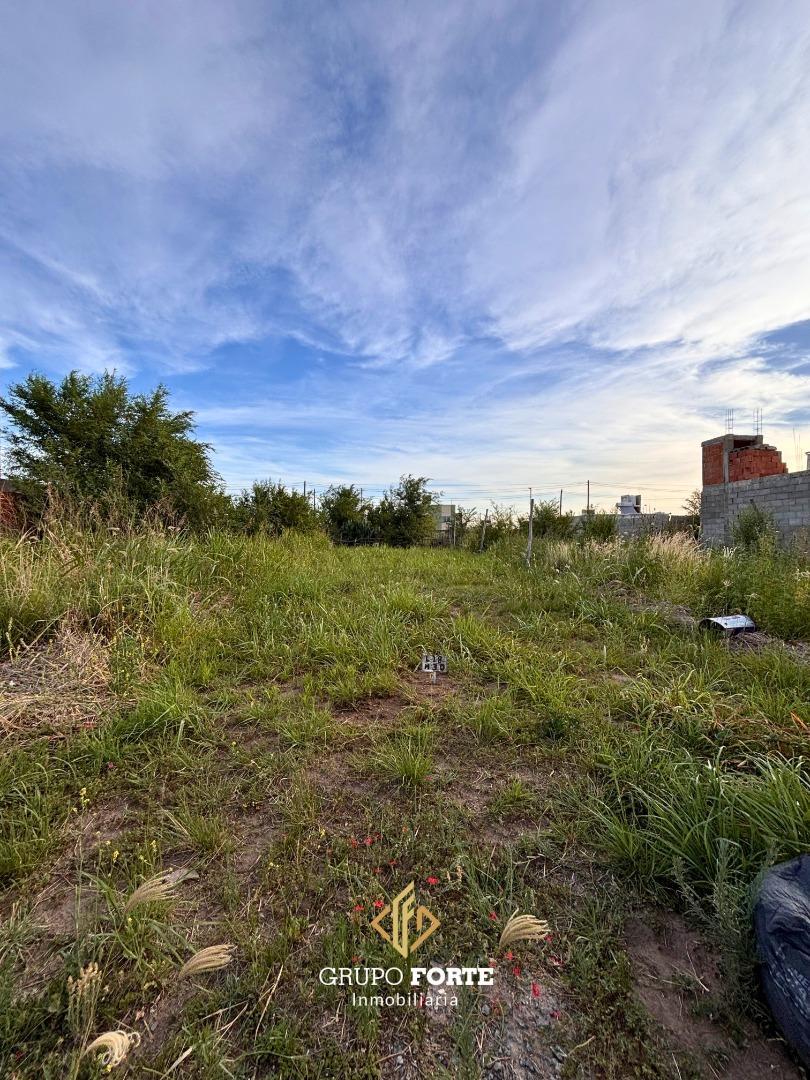 Lote con escritura en Argüello