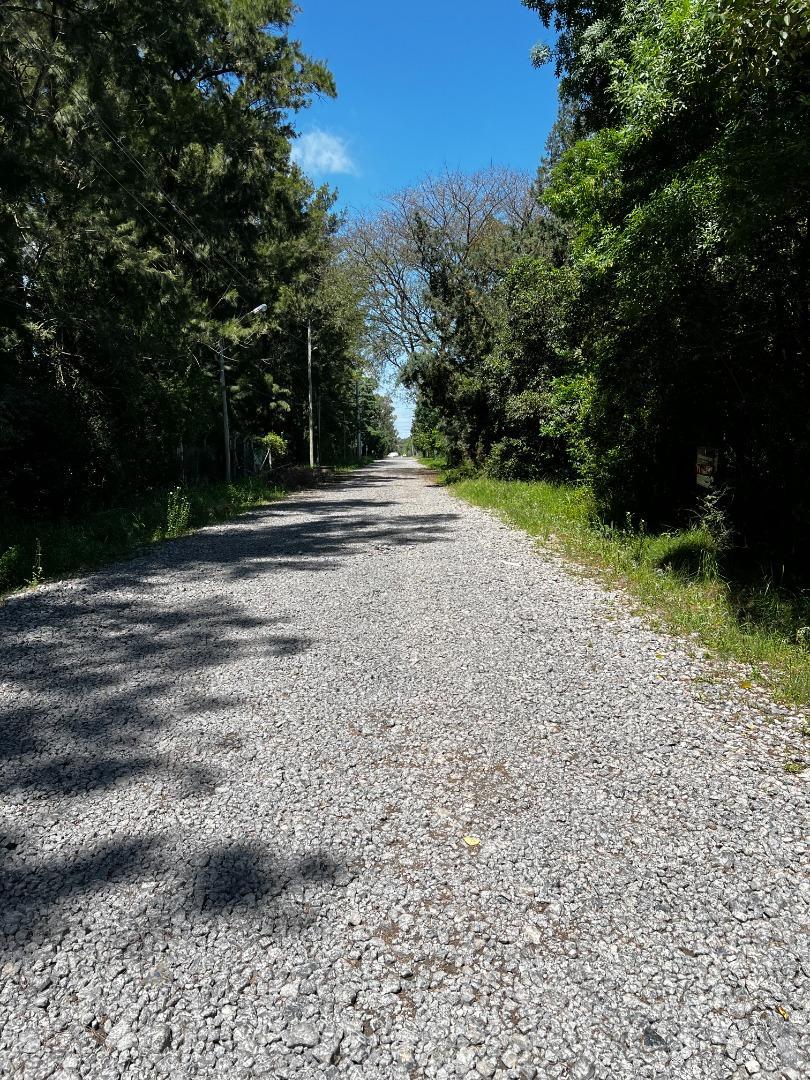 TERRENOS EN VENTA EN ALTO LOS CARDALES